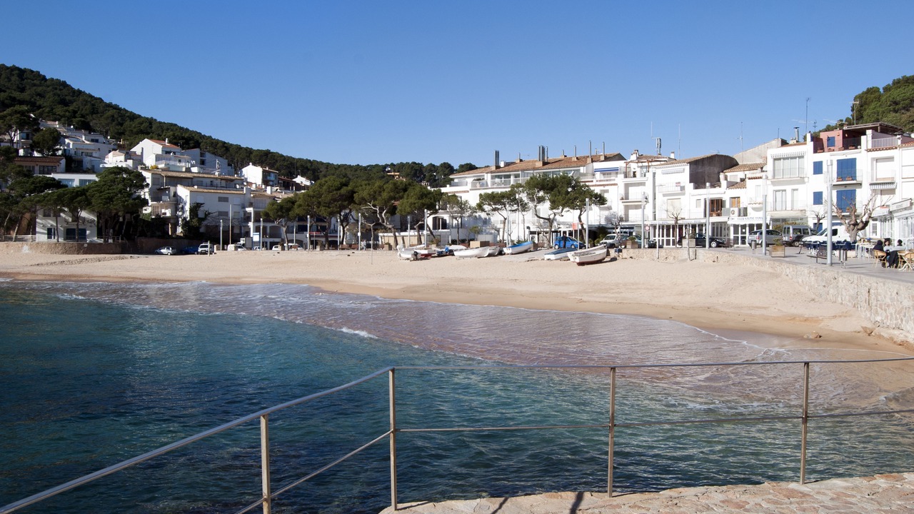 Photo of Others in Tamariu