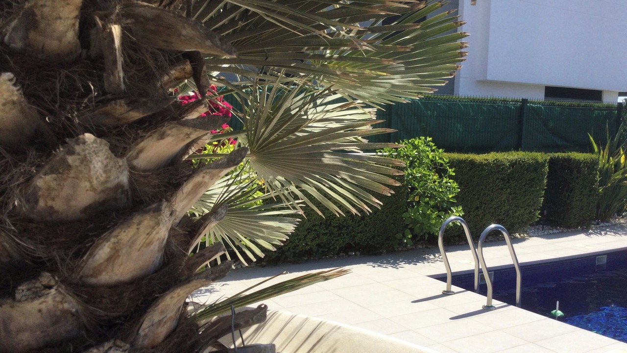Photo of Outdoor in Guardamar del Segura