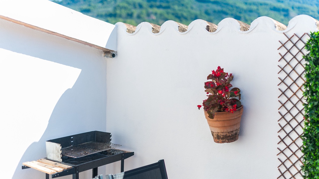Photo of Outdoor in Soller