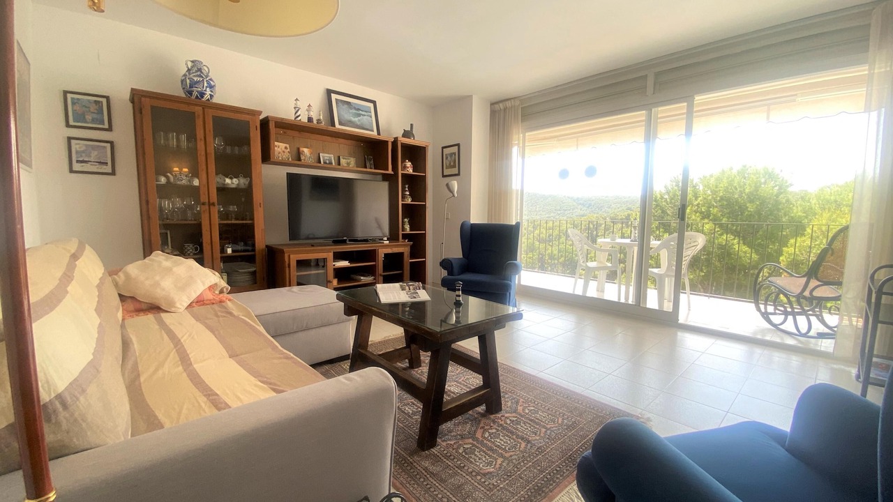 Photo of Livingroom in Tamariu