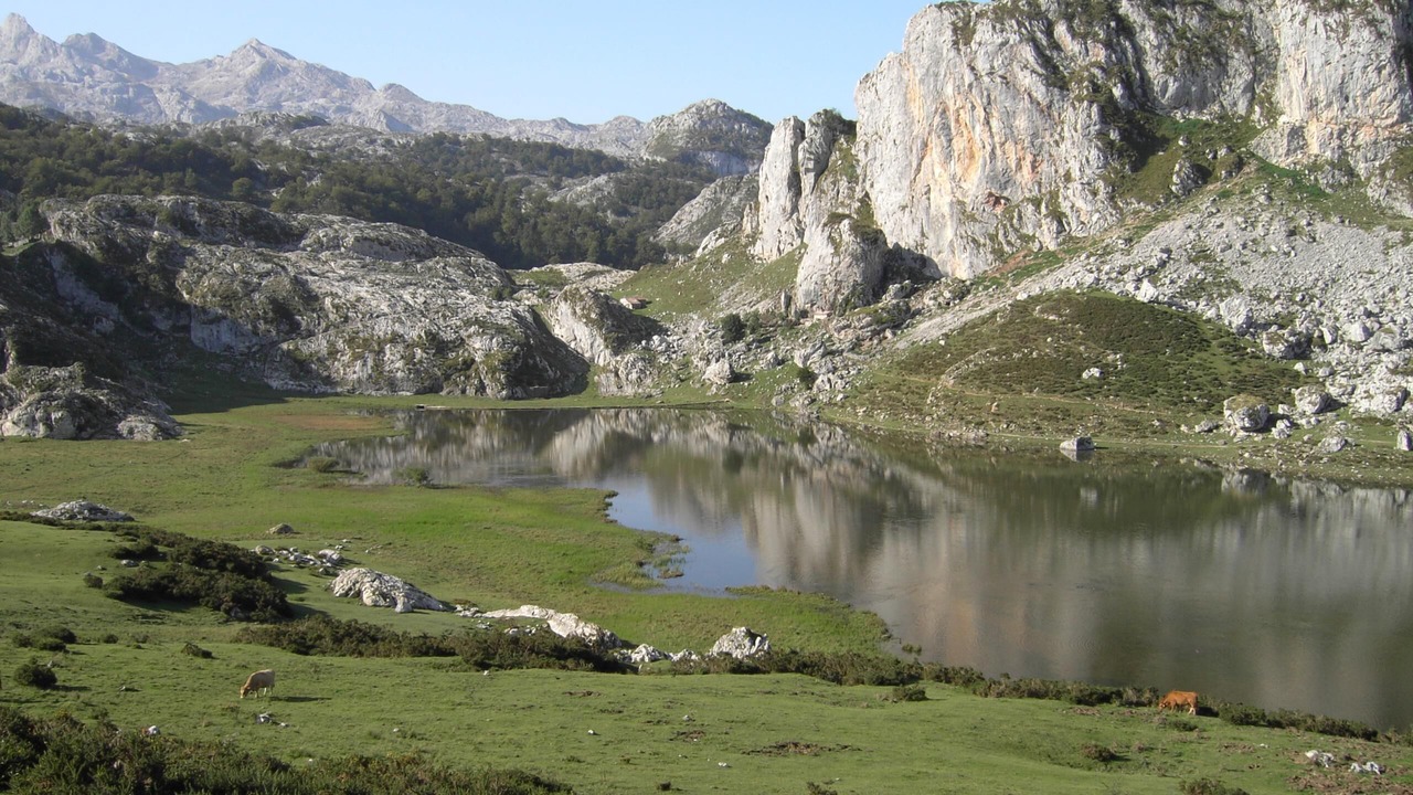 Photo of Others in Ribadedeva