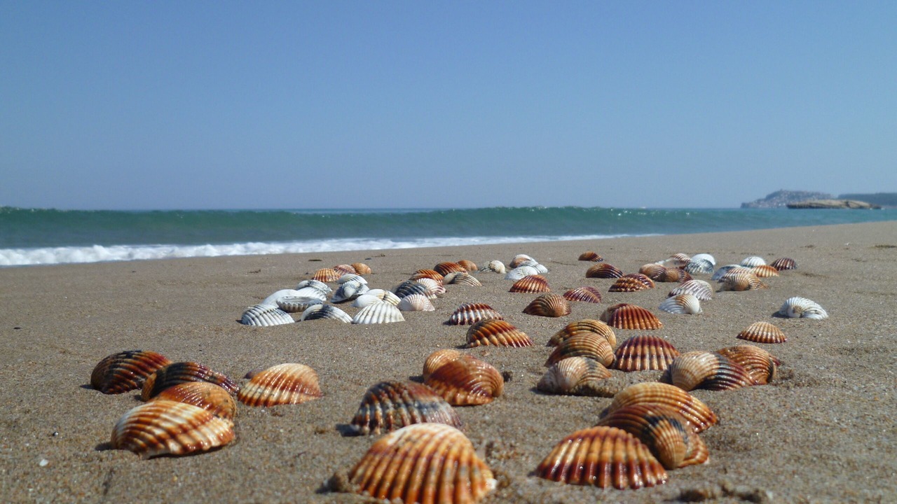 Photo of Others in Empuriabrava