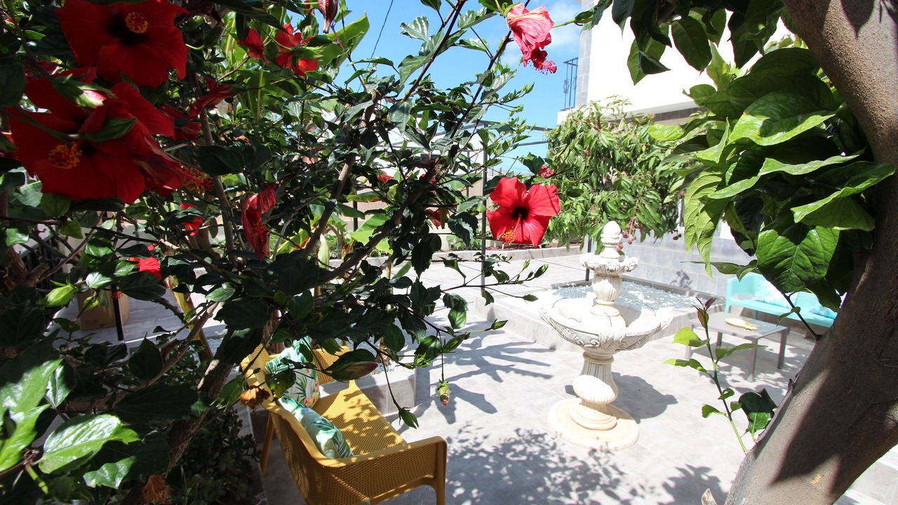 Photo of Outdoor in Buzanada