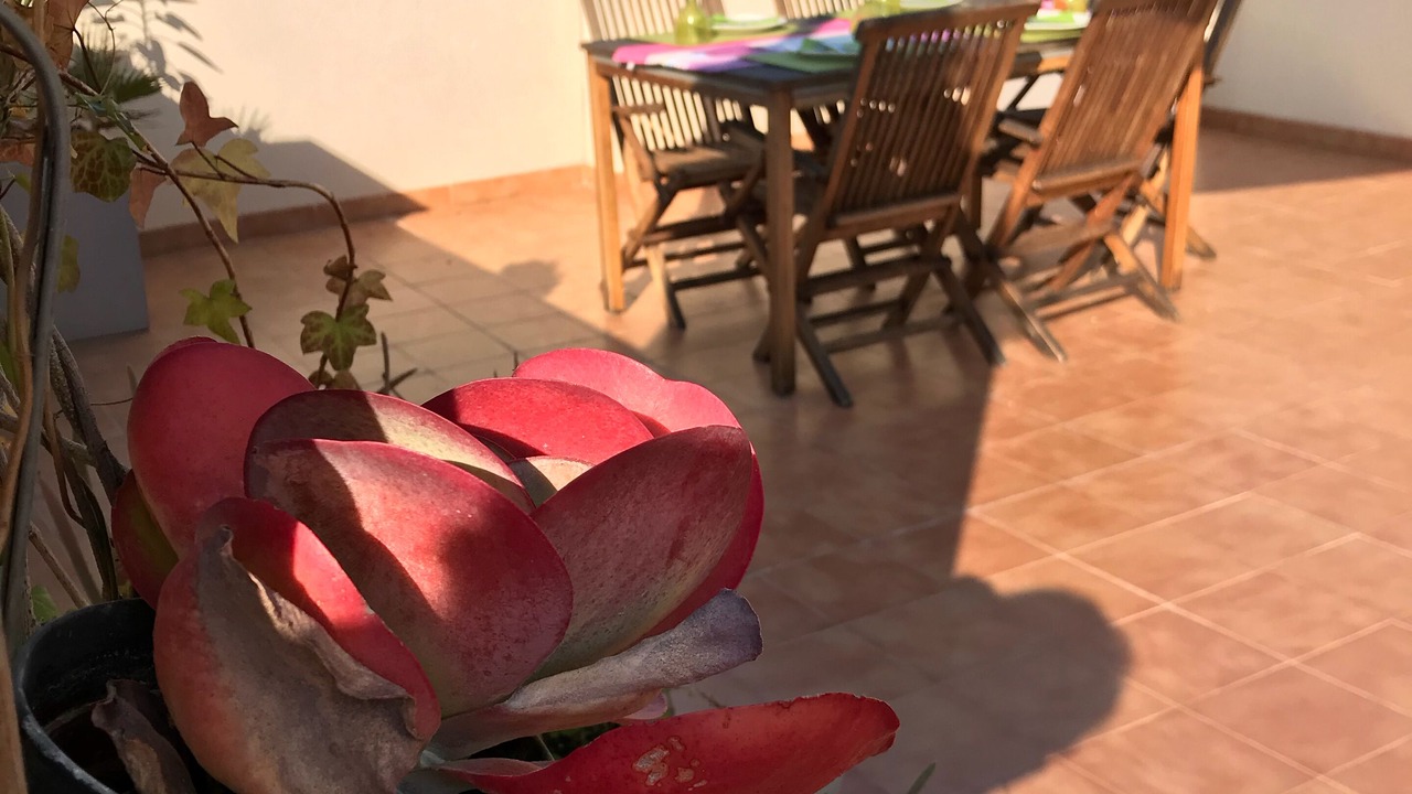 Photo of Outdoor in Diputacion de Cartagena Casco