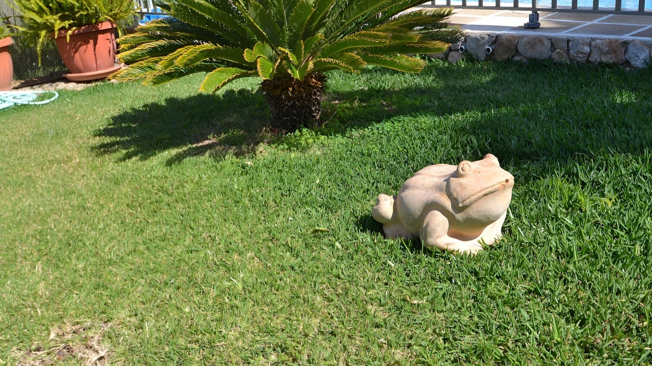 Photo of Outdoor in Inca