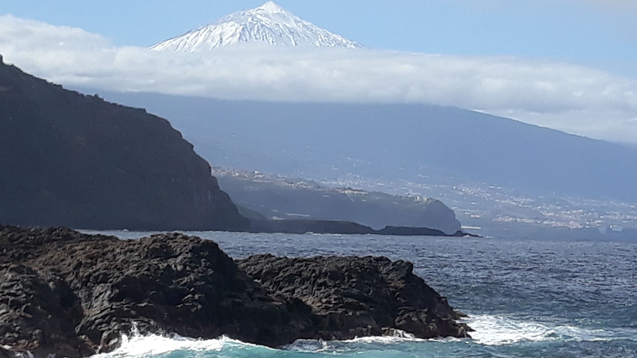 Photo of Others in Tacoronte