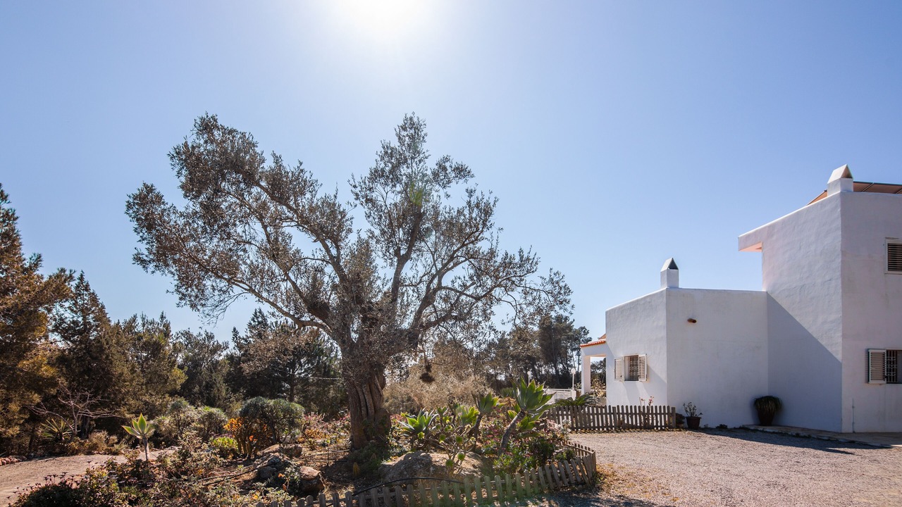 Photo of Outdoor in Sant Joan de Labritja