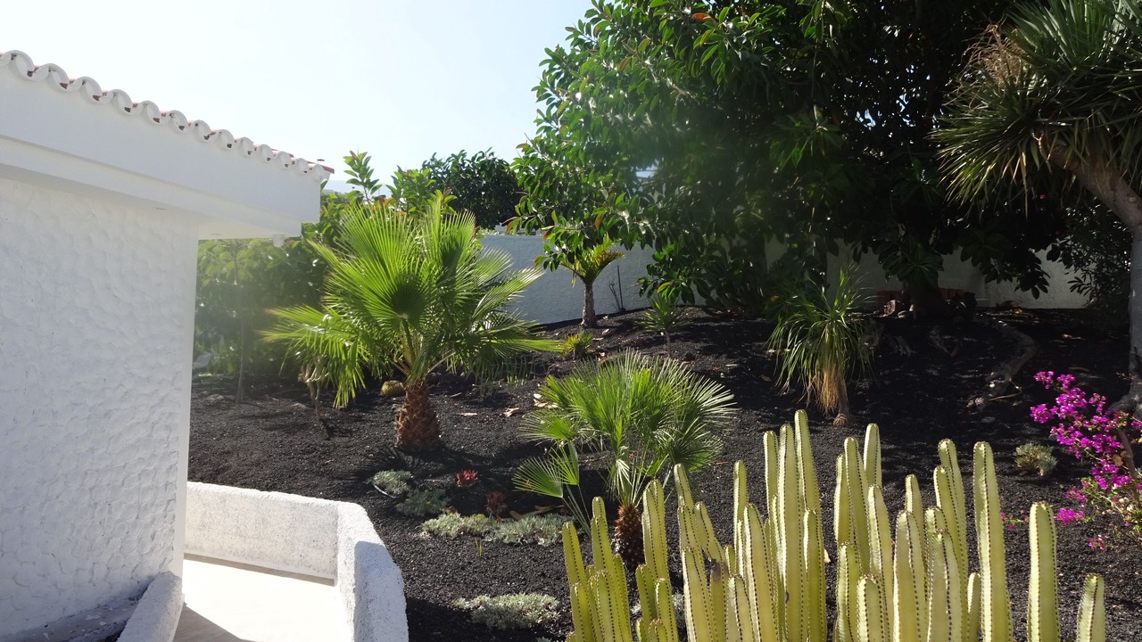 Photo of Outdoor in Candelaria