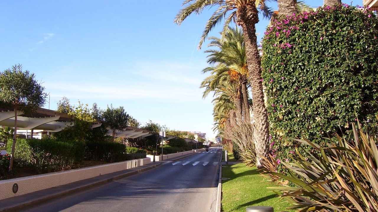 Photo of Outdoor in Torrevieja