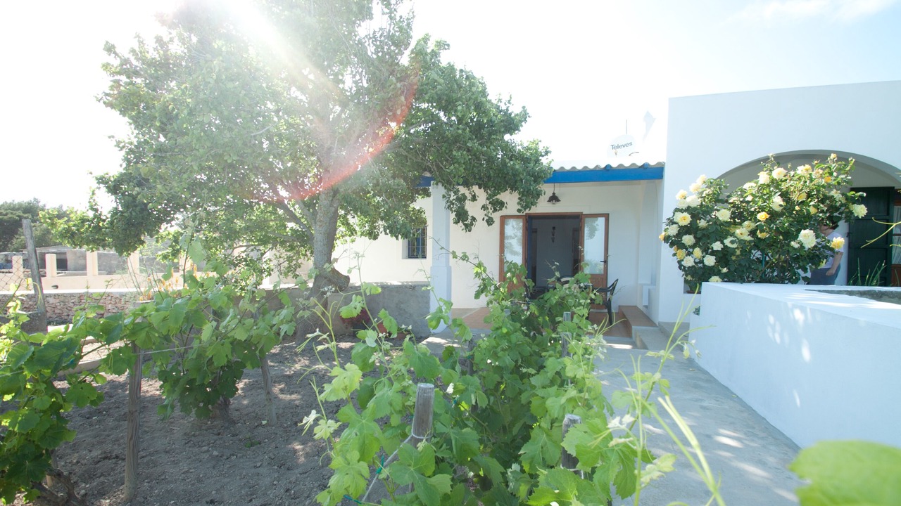 Photo of Patio Balcony in Formentera