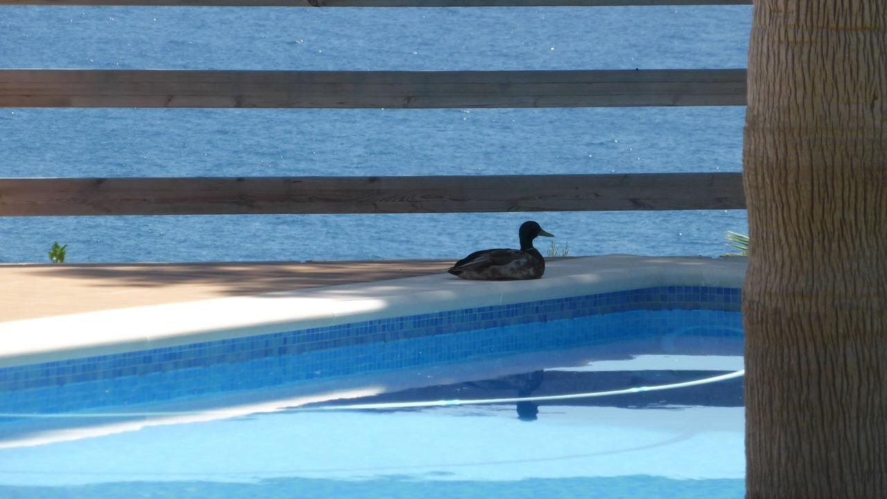 Photo of Outdoor in Benalmadena