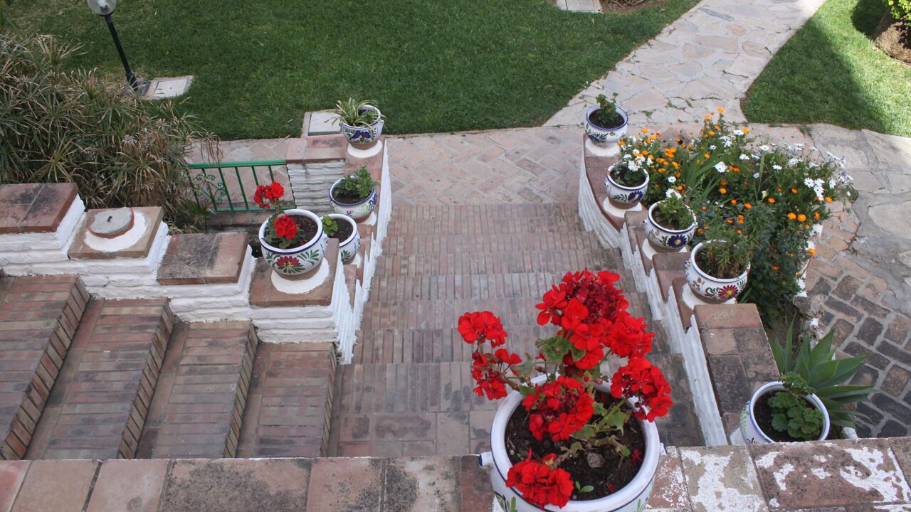 Photo of Others in Carihuela