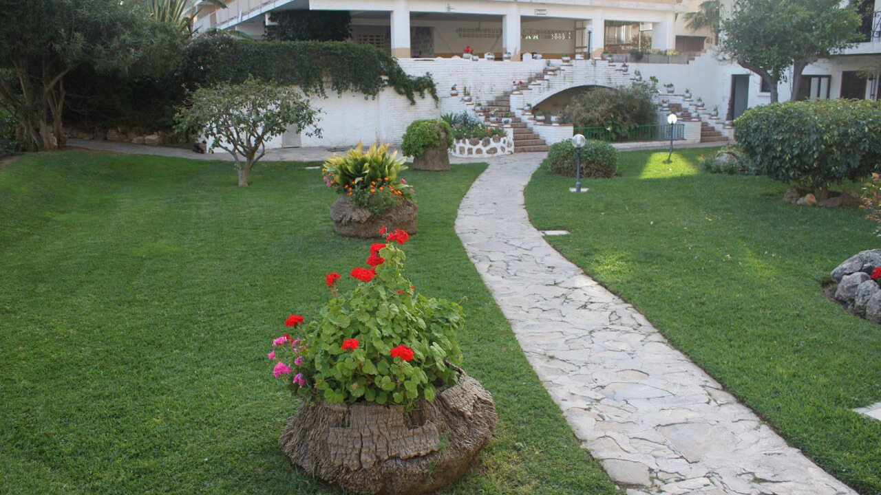 Photo of Others in Carihuela