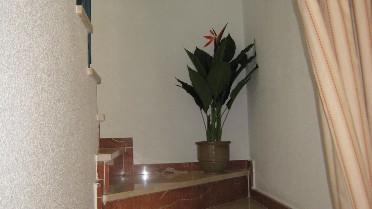 Photo of Others in Rojales