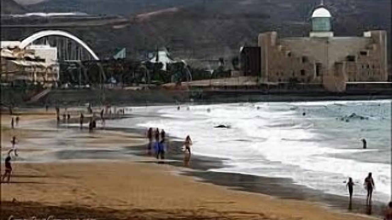 Photo of Others in Las Palmas de Gran Canaria