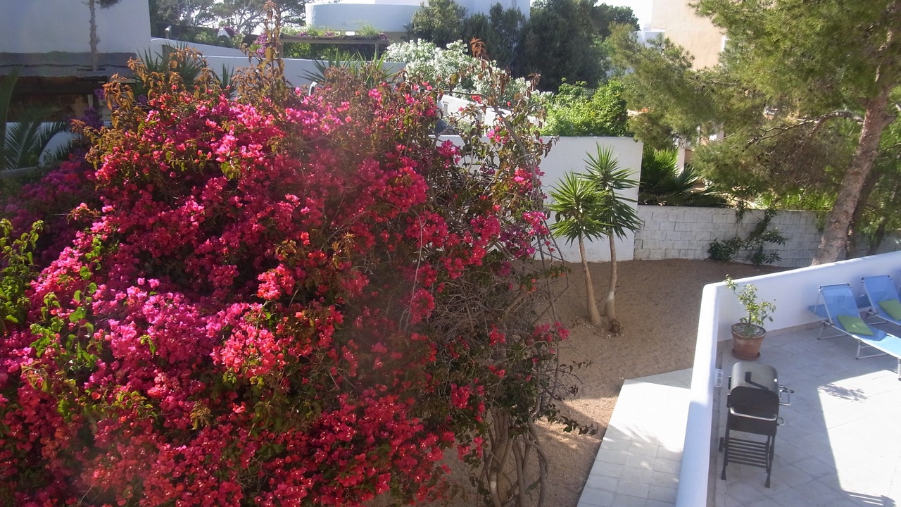 Photo of Patio Balcony in Cala Vadella