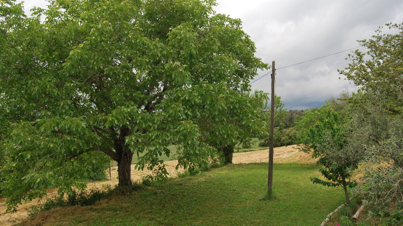 Photo of Outdoor in Vilademuls