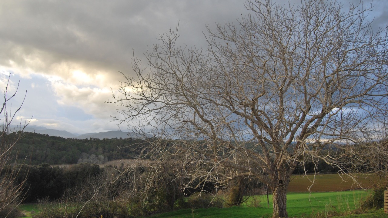 Photo of Outdoor in Vilademuls