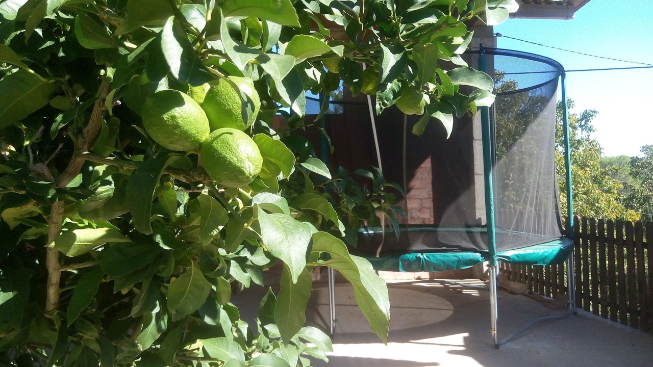 Photo of Outdoor in Vilademuls