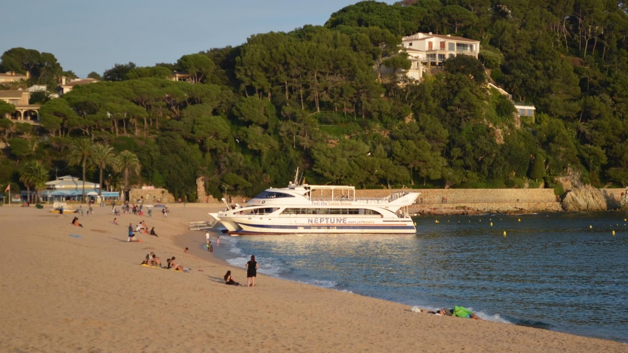 Photo of Others in Lloret Town Center