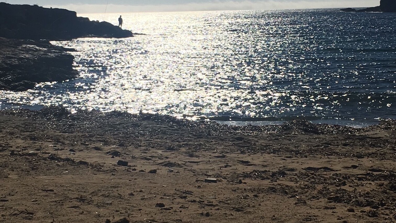 Photo of Others in Diputacion de Rincon de San Gines