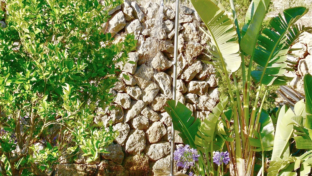 Photo of Outdoor in Banyalbufar
