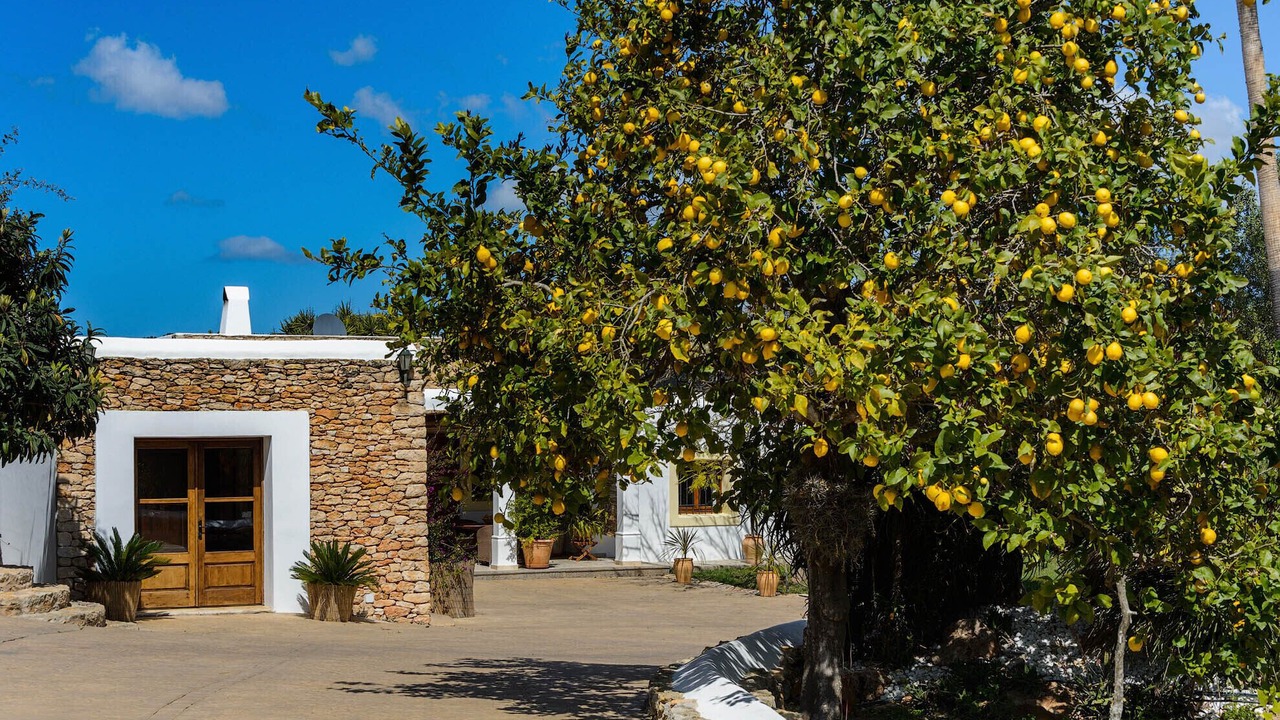 Photo of Others in Sant Rafael de Sa Creu