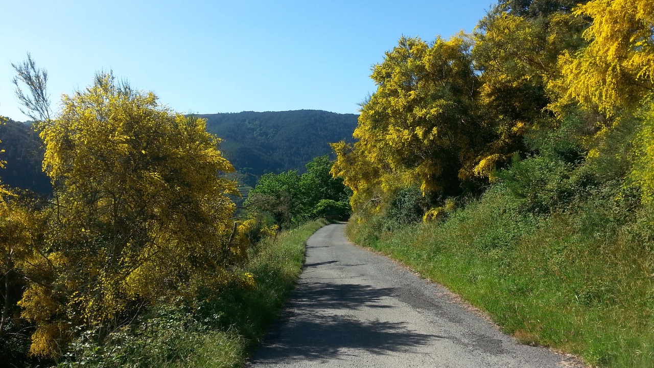 Photo of Outdoor in Panton