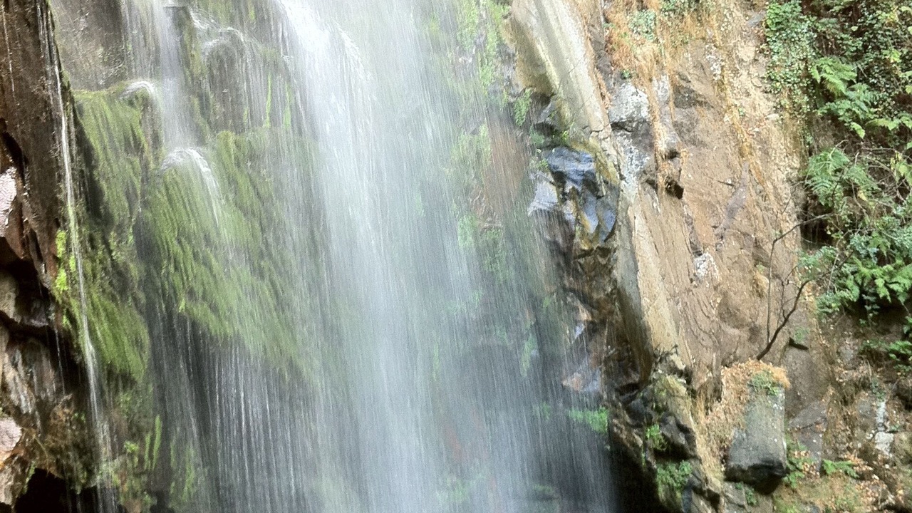 Photo of Outdoor in Panton