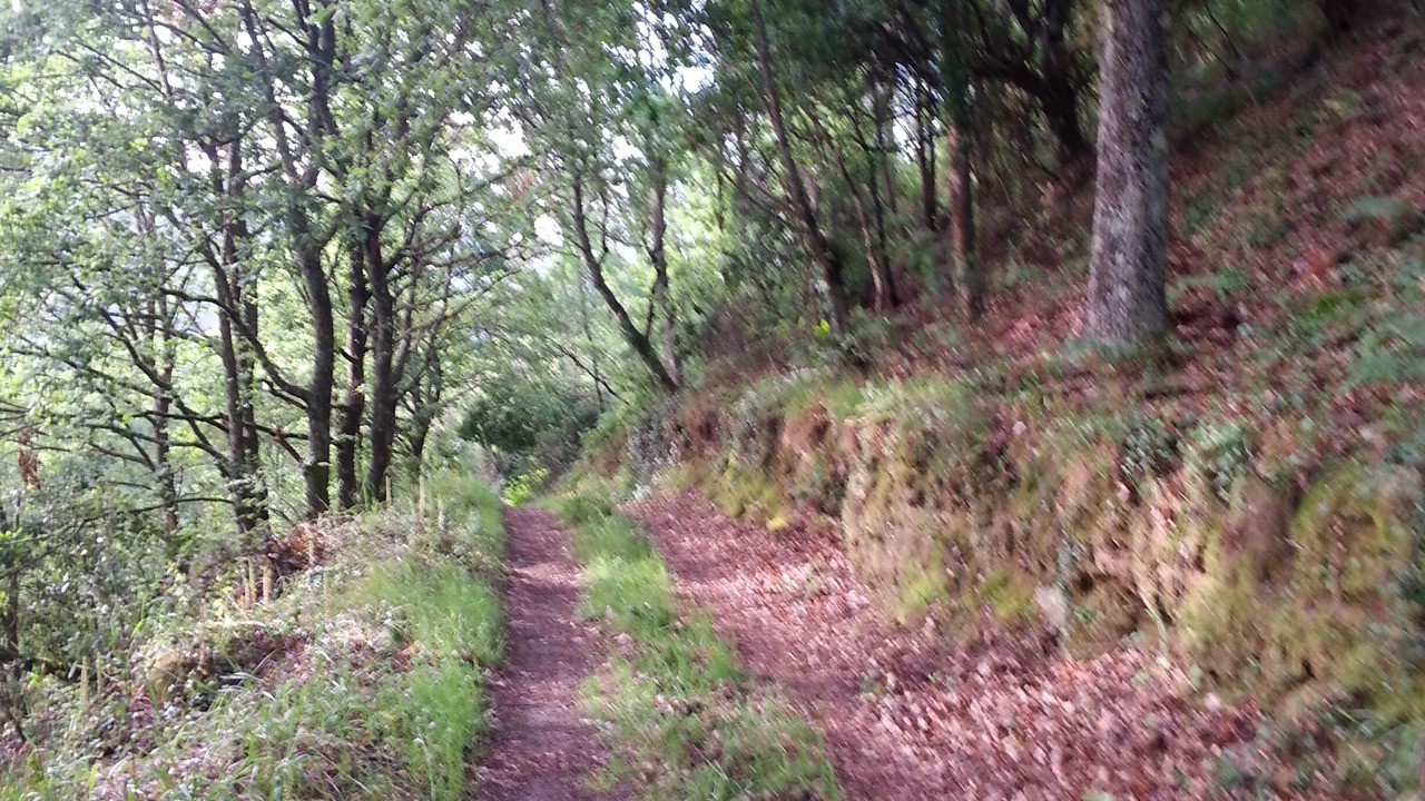 Photo of Outdoor in Panton