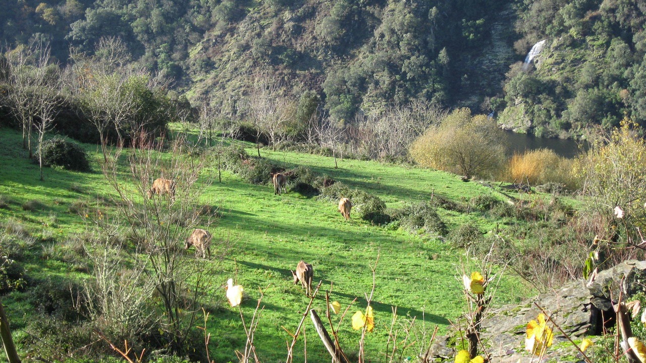 Photo of Outdoor in Panton