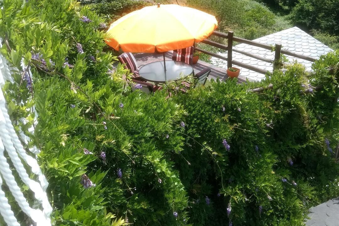 Photo of Outdoor in Panton