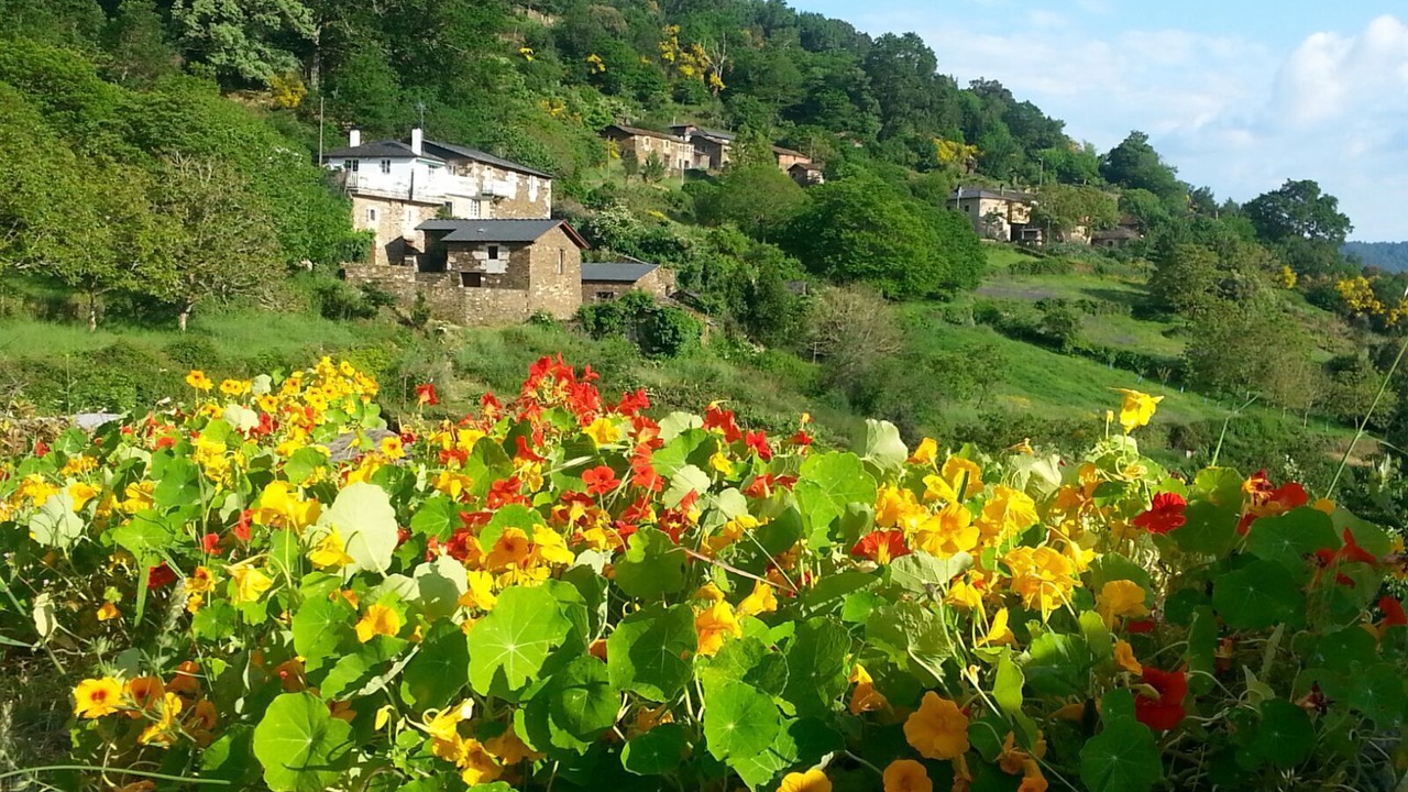 Photo of Outdoor in Panton