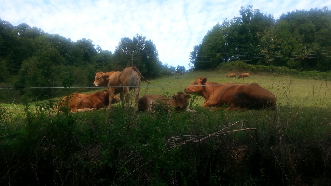 Photo of Outdoor in Panton
