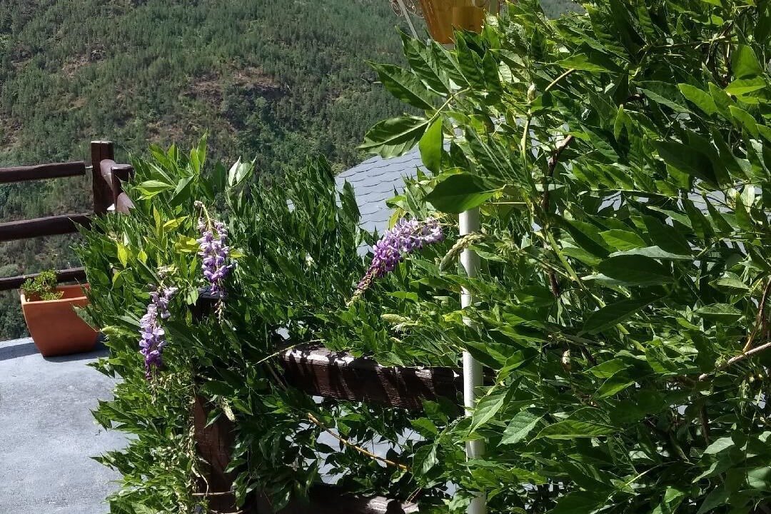 Photo of Outdoor in Panton