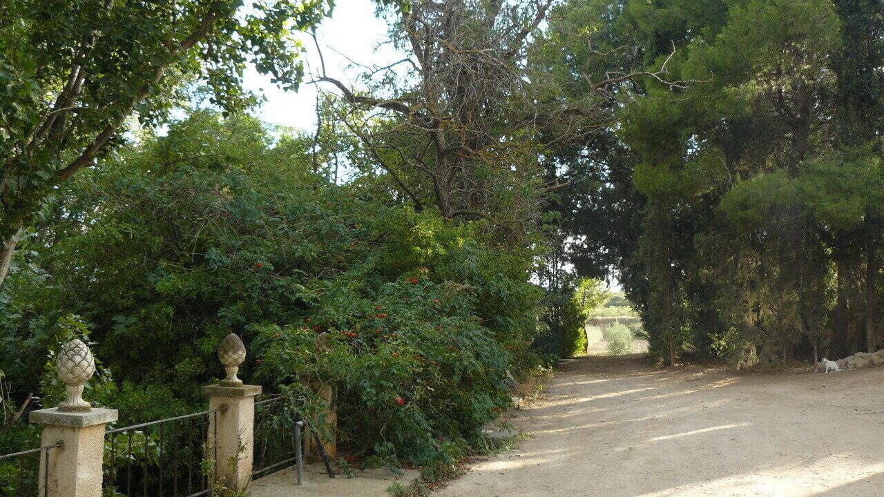 Photo of Outdoor in Ainzon