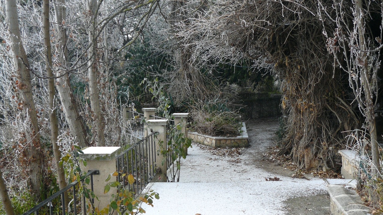 Photo of Outdoor in Ainzon