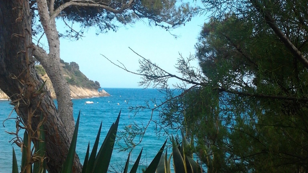 Photo of Others in L'Escala