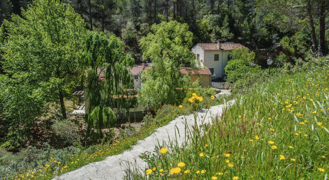 Photo of Outdoor in Yeste
