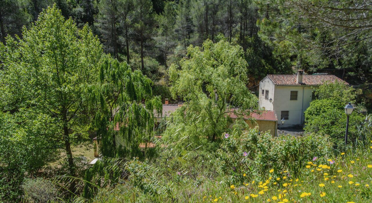 Photo of Outdoor in Yeste