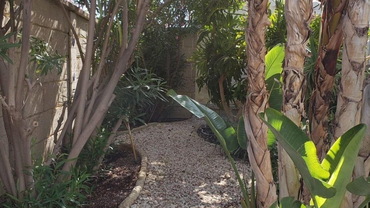 Photo of Outdoor in Chayofa