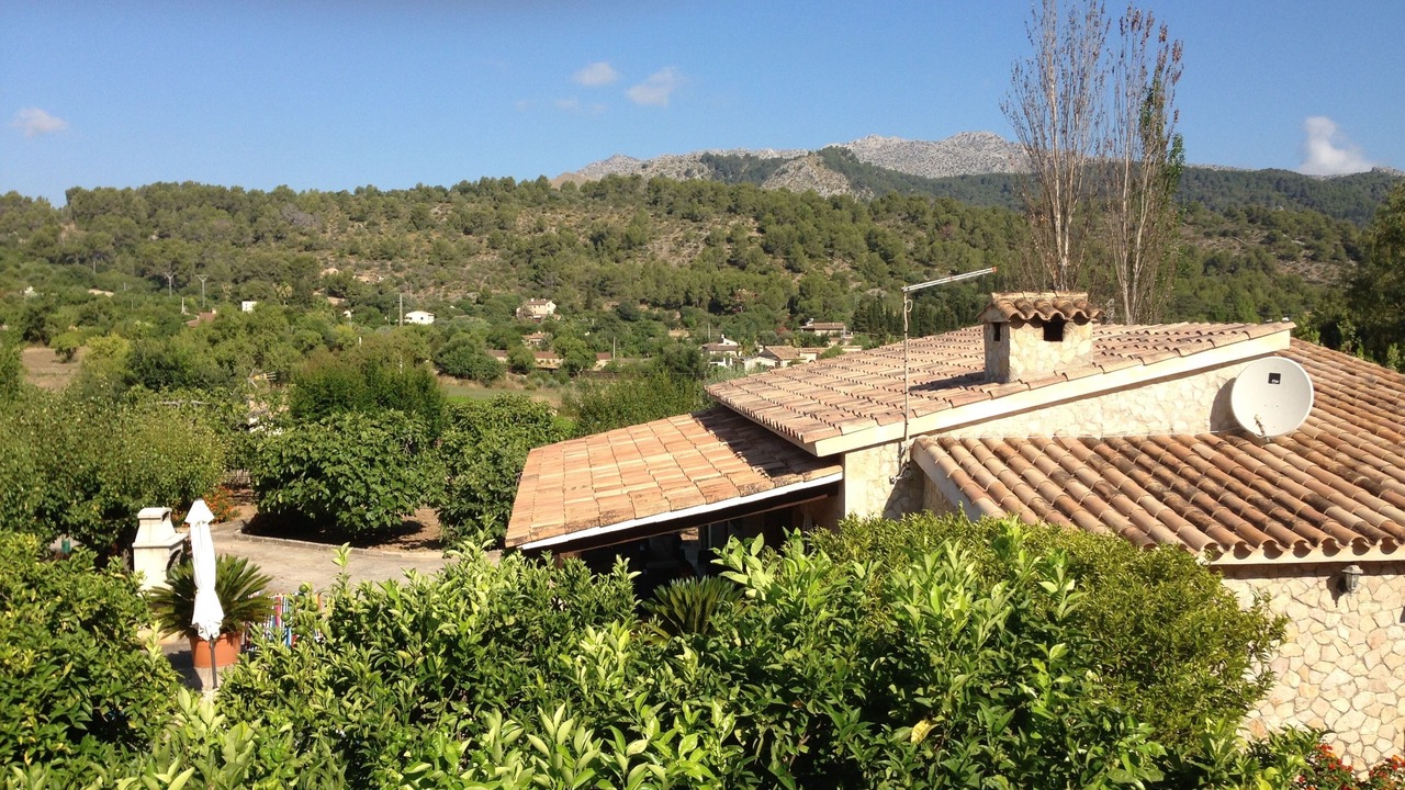 Photo of Others in Pollensa