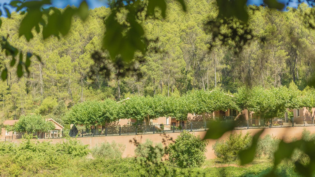 Photo of Outdoor in Yeste