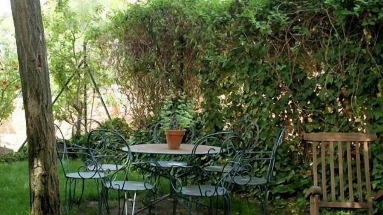 Photo of Outdoor in Soria