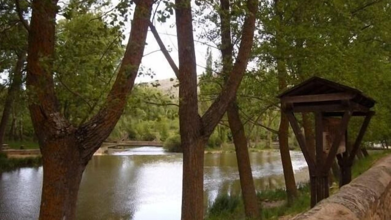 Photo of Outdoor in Soria