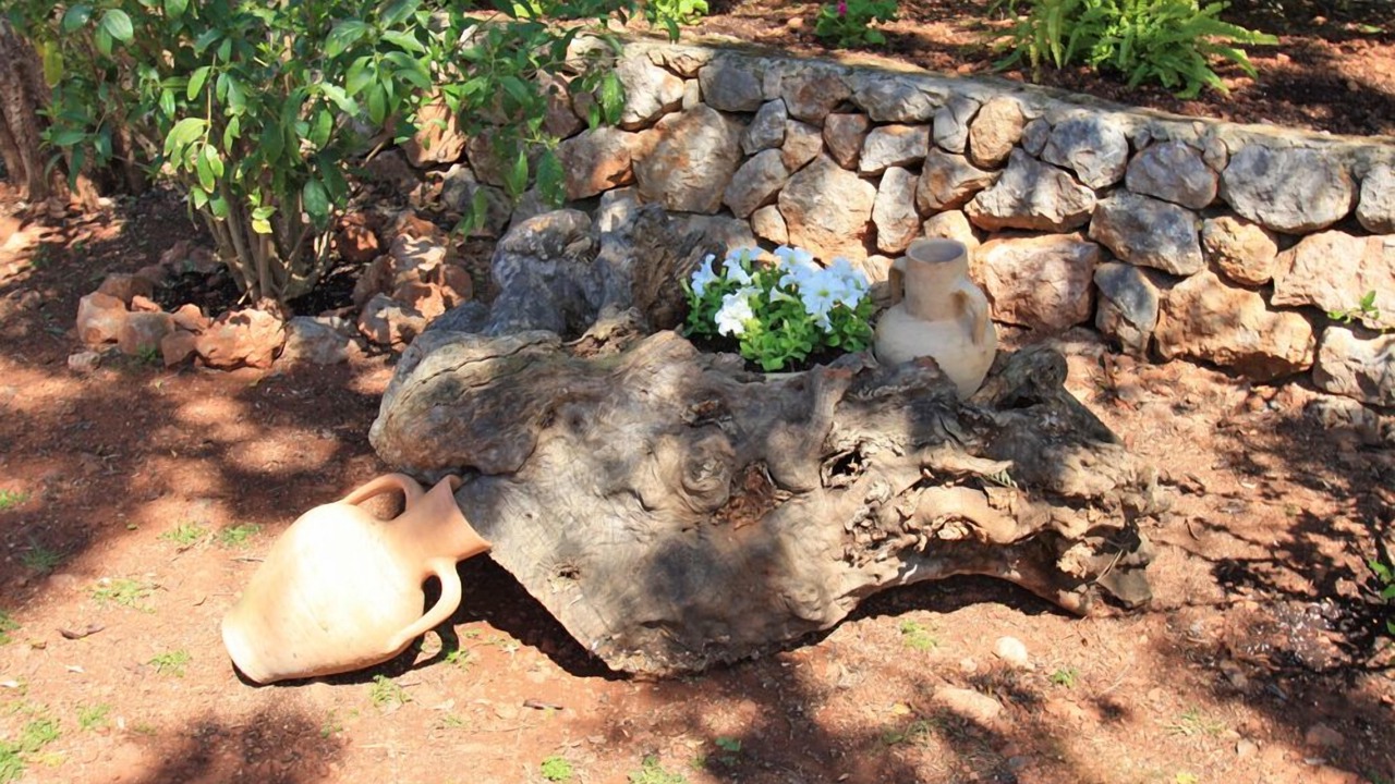 Photo of Outdoor in Biniaraix