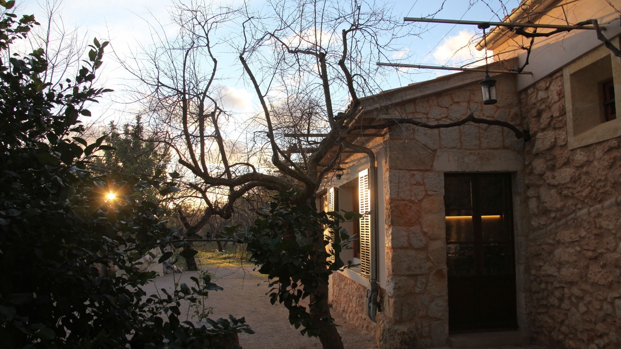 Photo of Outdoor in Consell