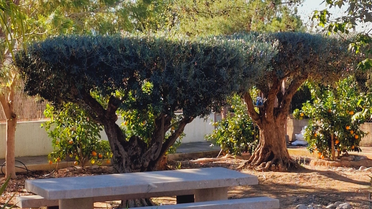 Photo of Outdoor in Librilla