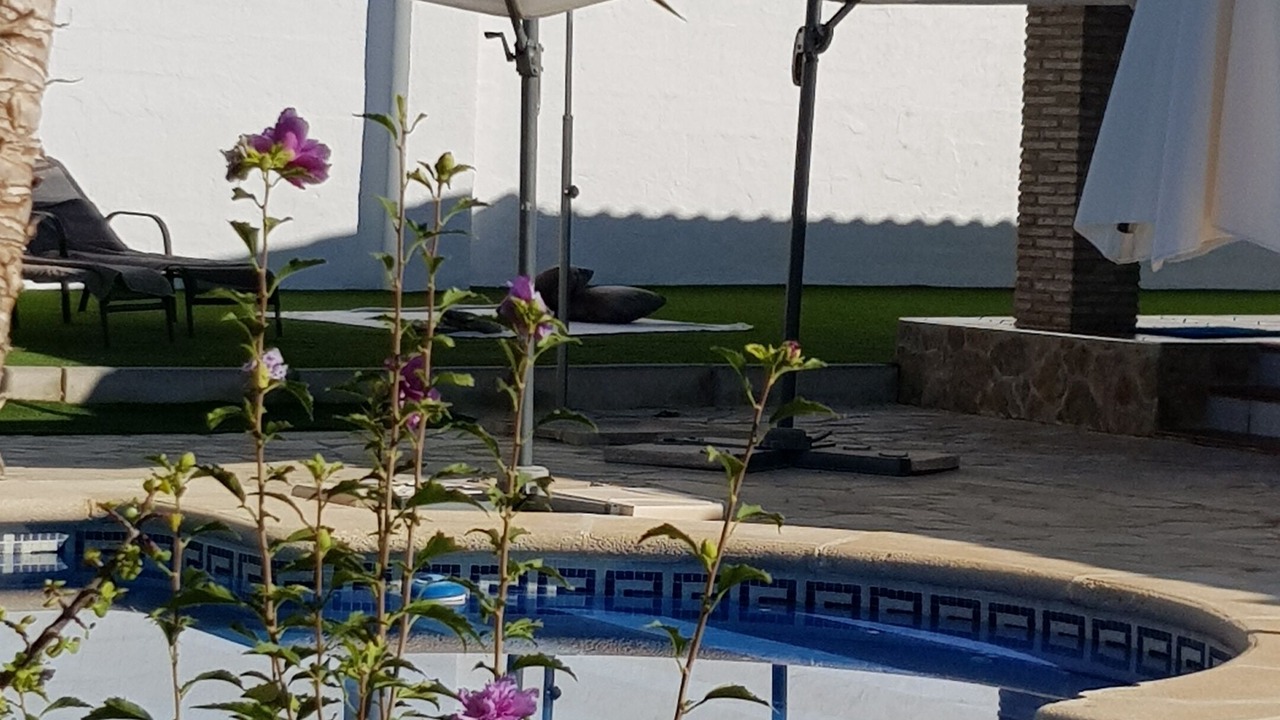 Photo of Outdoor in Librilla