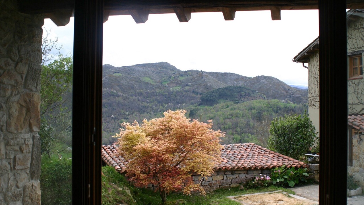 Photo of Others in Puente Nuevo